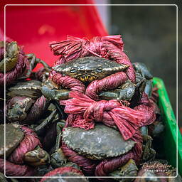 Market, Saigon (13)