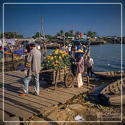 Río Mekong (Vietnam) (3)