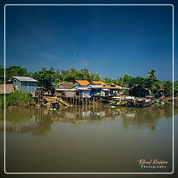 Río Mekong (Vietnam) (8)