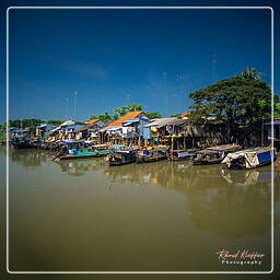 Río Mekong (Vietnam) (9)