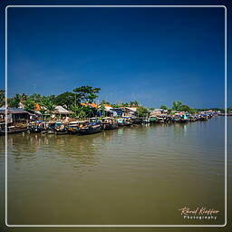 Río Mekong (Vietnam) (11)