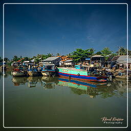 Río Mekong (Vietnam) (14)