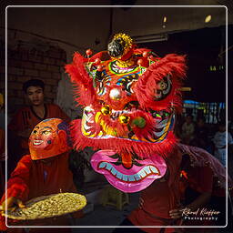 Tet (Lunar New Year), Sa Đéc (4)