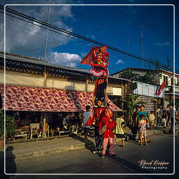 Sa Đéc (10) Tet (Lunar New Year)