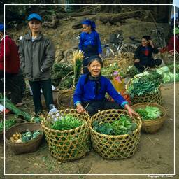 Mercado en el norte de Vietnam (3)
