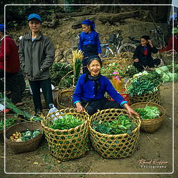 Marché dans le Nord du Vietnam (3)