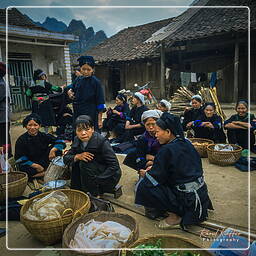 Mercado en el norte de Vietnam (6)