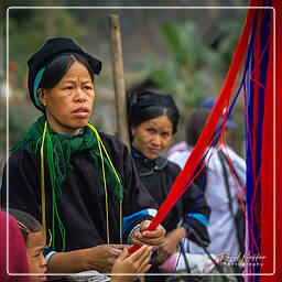 Marché dans le Nord du Vietnam (10)