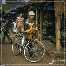 Thai Nguyen (4) Market