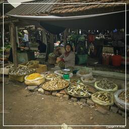 Thai Nguyen (5) Market