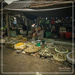 Thai Nguyen (5) Market