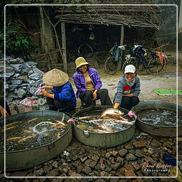 Thai Nguyen (6) Market