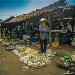 Thai Nguyen (7) Market