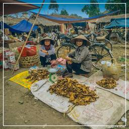 Thai Nguyen (8) Market