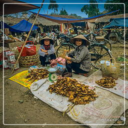 Thai Nguyen (8) Market