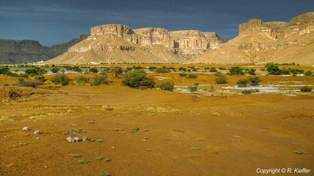 Iémen (103) Wadi Hadramout