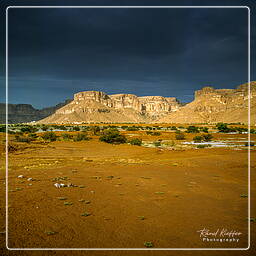 Iémen (103) Wadi Hadramout