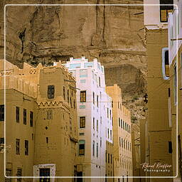 Wadi Hadramout, Iémen (107)
