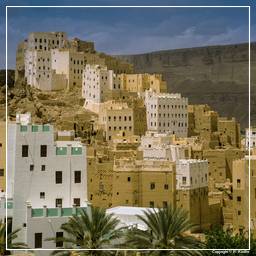Iémen (109) Wadi Hadramout