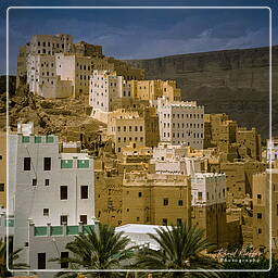 Yémen (109) Wadi Hadramout