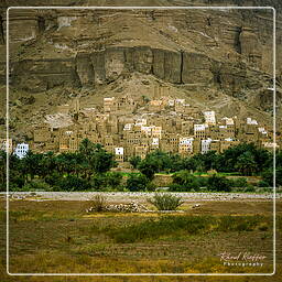 Wadi Hadramout, Iémen (111)
