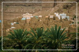 Wadi Hadramout, Iémen (113)