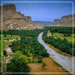 Yemen (115) Wadi Hadramout