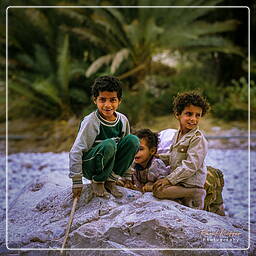 Wadi Hadramout, Iémen (116)