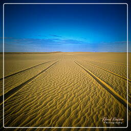 Yémen (62) Rub al-Khali