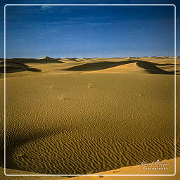 Yémen (63) Rub al-Khali