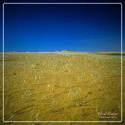 Yemen (67) Rub al-Khali