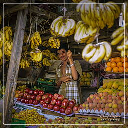 Yemen (128) Al’Mukkala