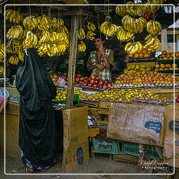 Al’Mukkala, Yemen (131)