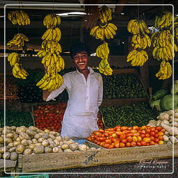 Iêmen (137) Aden