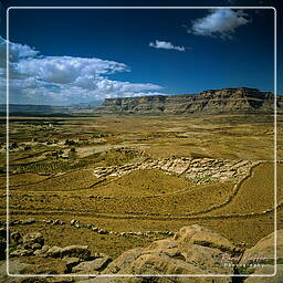 Hababah, Yemen (204)