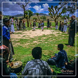 Hababah, Yemen (219)