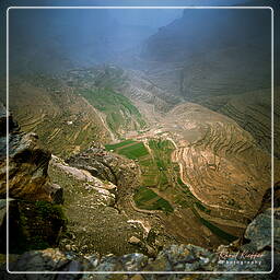 Hosn-Bokur, Yemen (232)