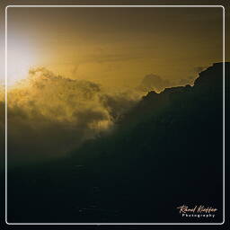 Hosn-Bokur, Yemen (236)