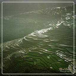 Hosn-Bokur, Yemen (239)