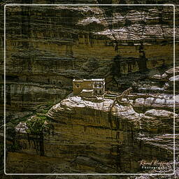 Hosn-Bokur, Yemen (240)