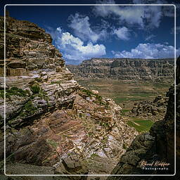 Hosn-Bokur, Yemen (242)