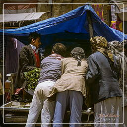 Sana’a, Yemen (3)
