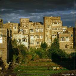 Yémen (15) Sanaa