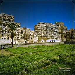 Sana’a, Yemen (20)