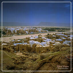 Shibam, Yemen (74)
