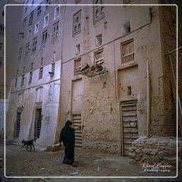 Shibam, Yemen (75)