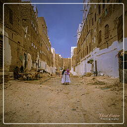 Yémen (77) Shibam