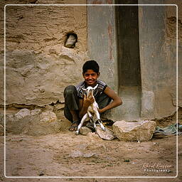 Yémen (79) Shibam