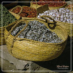 Taiz, Yemen (159)