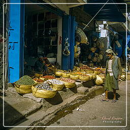 Yemen (166) Taiz